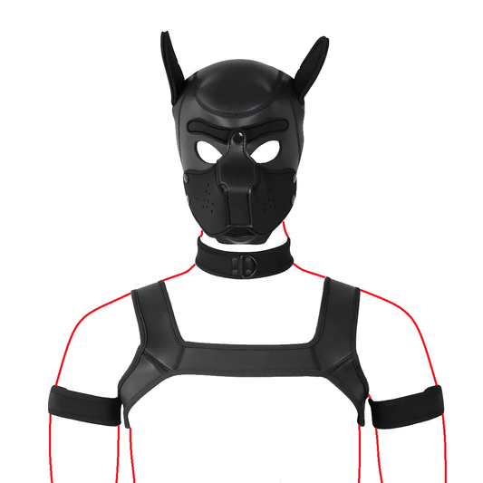 Pup Hood Kit Harness Collar Arm Bands Dog Mask Puppy Play - Black