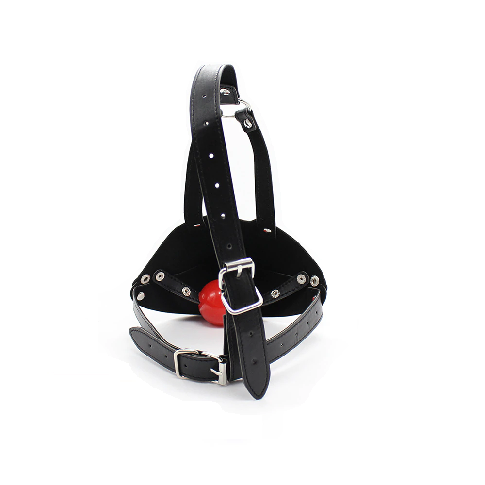 Budget Muzzle Head Harness Mouth Ball Gag Puppy Play