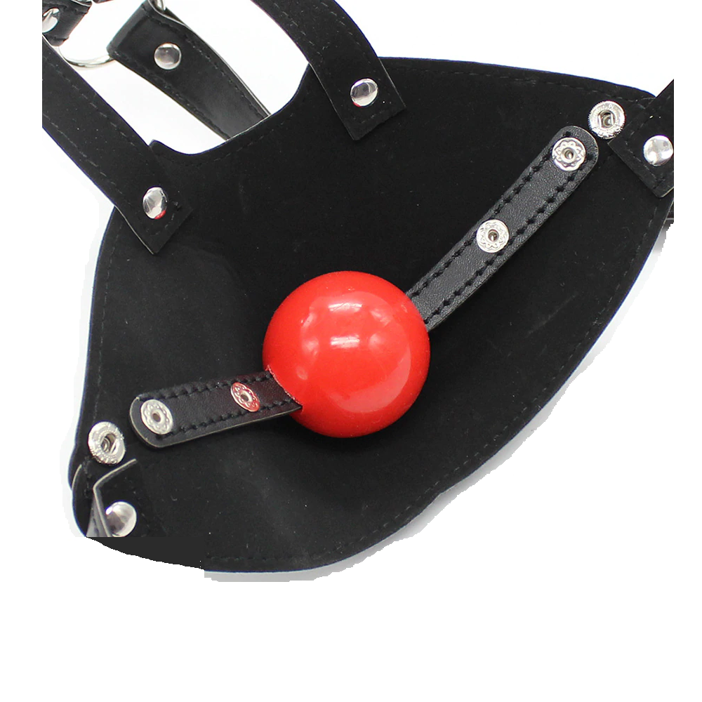 Budget Muzzle Head Harness Mouth Ball Gag Puppy Play