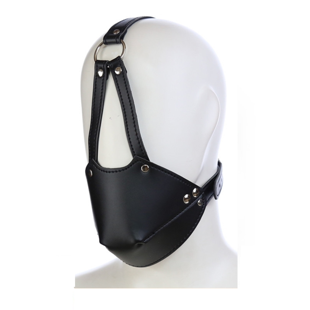 Budget Muzzle Head Harness Mouth Ball Gag Puppy Play