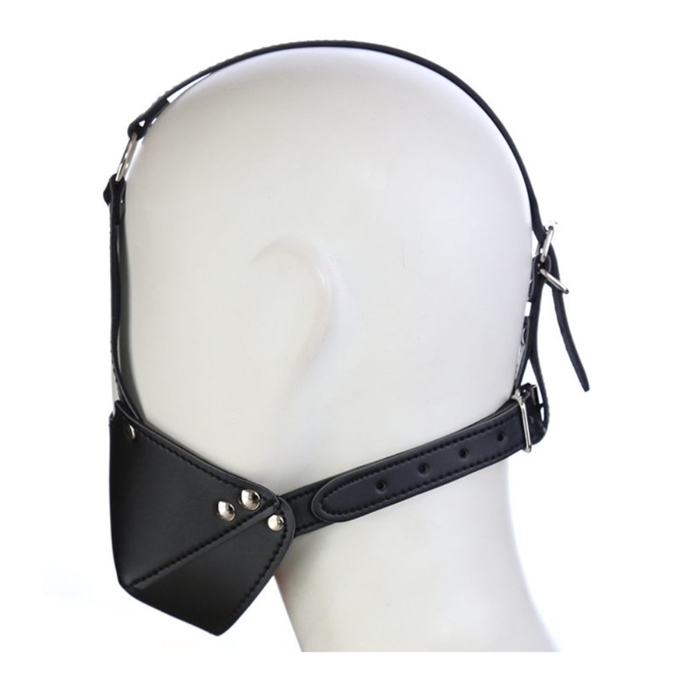 Budget Muzzle Head Harness Mouth Ball Gag Puppy Play