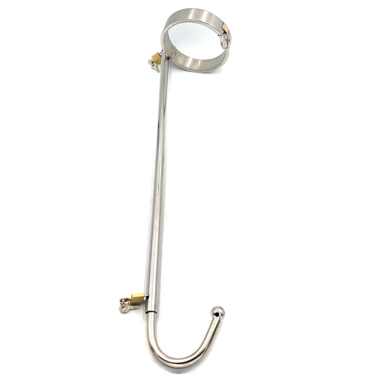 Stainless Steel Locking Neck Collar and Anal Hook
