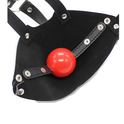 Budget Muzzle Head Harness Mouth Ball Gag Puppy Play