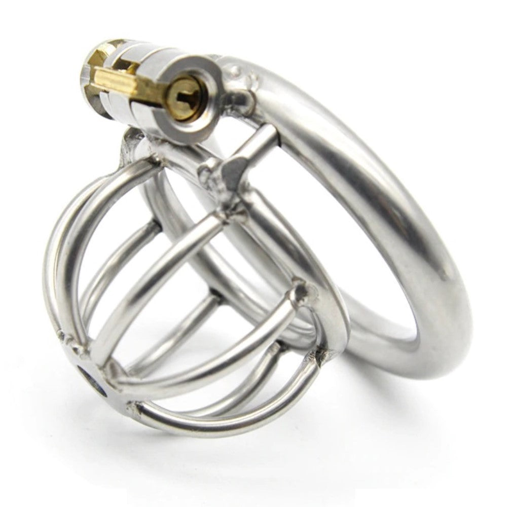 Small Prisoner Steel Metal Cock Bird Cage Chastity Device Spike Kit