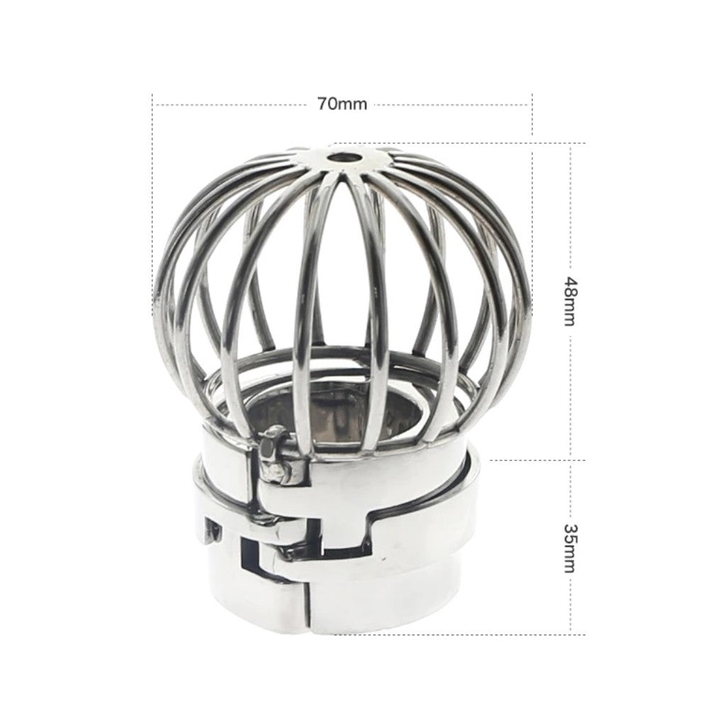 Prisoner Testicle Cage Chastity Device Stretcher Weight Locked Balls