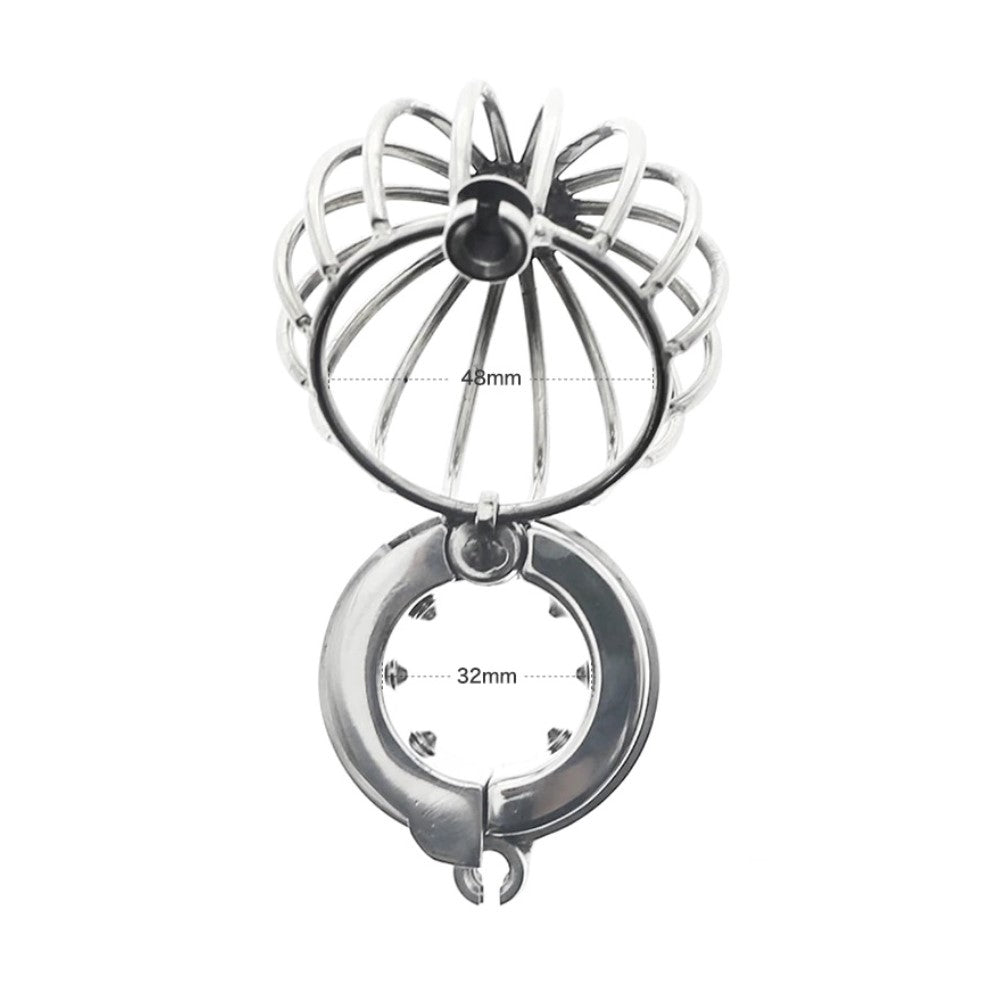 Prisoner Testicle Cage Chastity Device Stretcher Weight Locked Balls